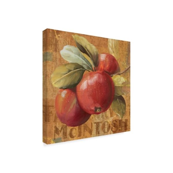 Lisa Audit 'Apple Season II' Canvas Art,14x14